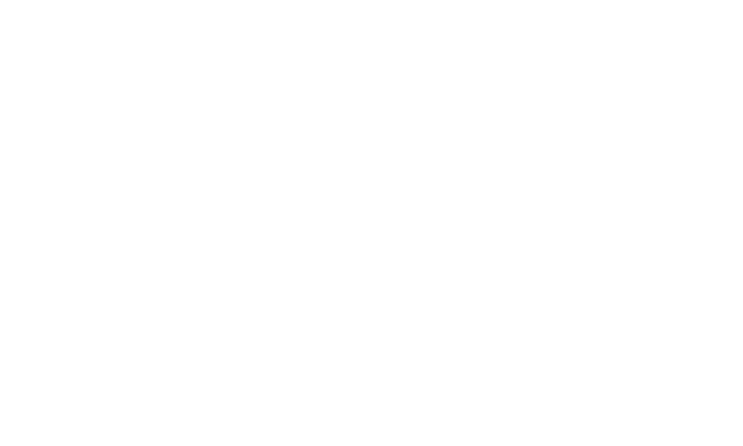 dana-adona-white-logo